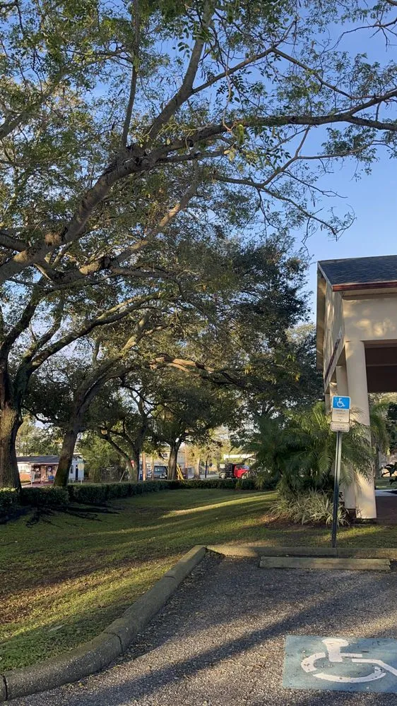 Expert residential landscaping with custom design in Saint Petersburg, FL by Garrett's Lawn Care & Tree