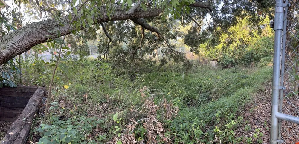 Local garden landscaping for beautiful yards in Saint Petersburg, FL by Garrett's Lawn Care & Tree