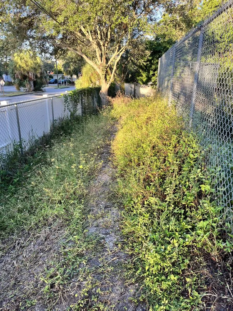 Local landscaping services in Saint Petersburg, FL - Garrett's Lawn Care & Tree