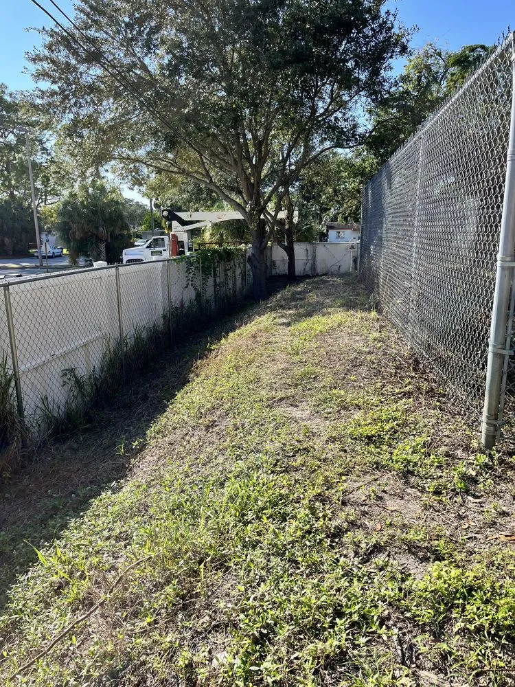 Expert yard maintenance experts serving Saint Petersburg, FL - Garrett's Lawn Care & Tree