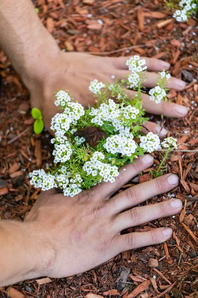 Reliable lawn care service for beautiful yards across Malden, MA - Garrick-Santo Landscape Co.