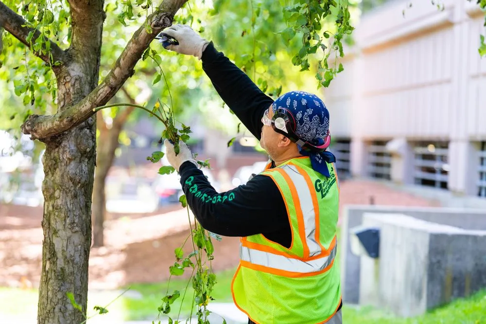Trusted landscaping services experts serving Malden, MA - Garrick-Santo Landscape Co.