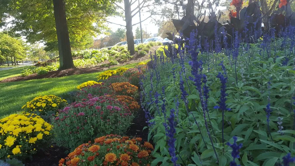 Professional yard maintenance in Wilmington, MA - Garrick-Santo Landscape Co.