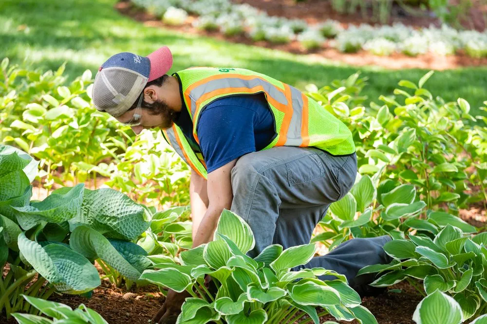 Trusted yard cleanup service experts serving Wilmington, MA - Garrick-Santo Landscape Co.