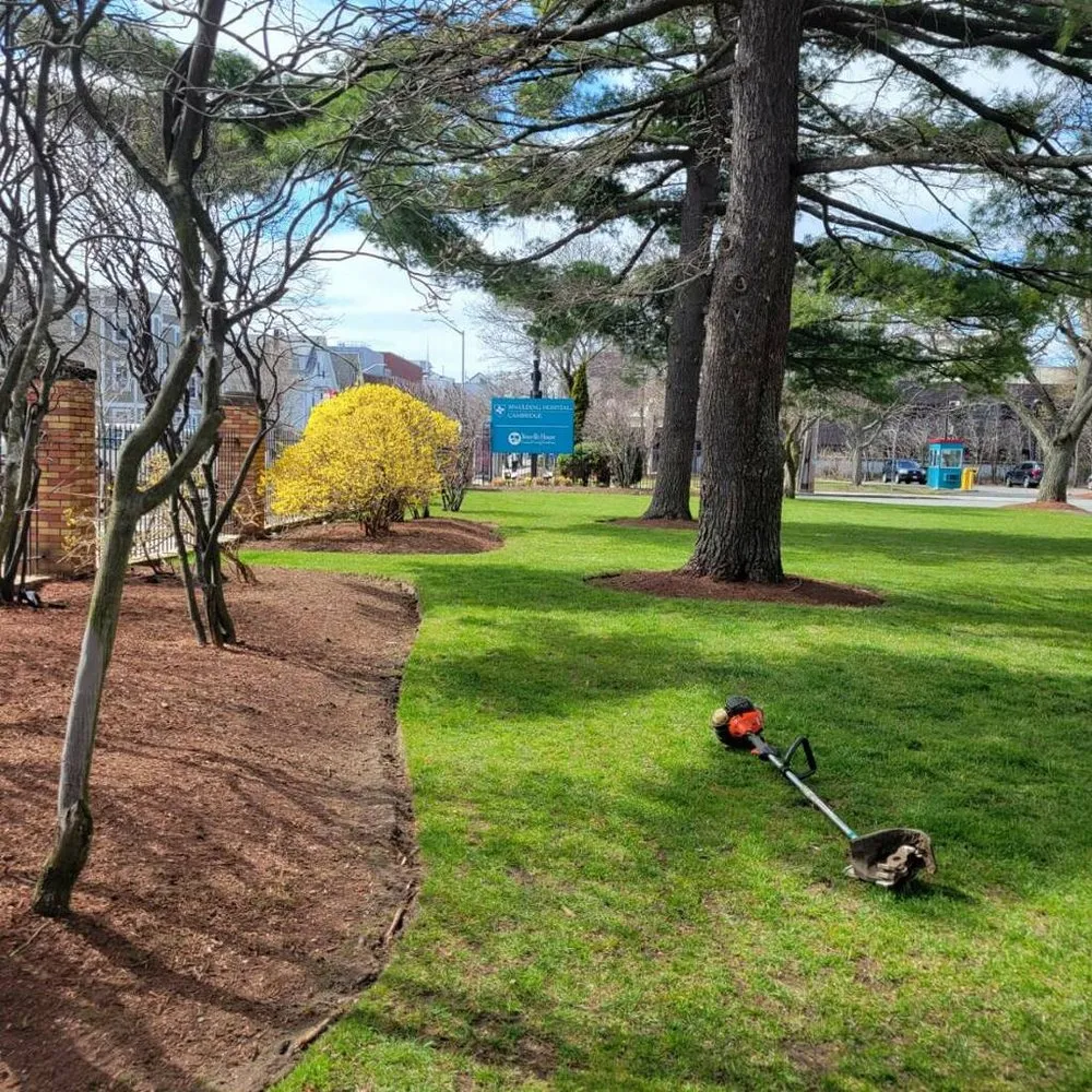 Local lawn care service for beautiful yards across Wilmington, MA - Garrick-Santo Landscape Co.