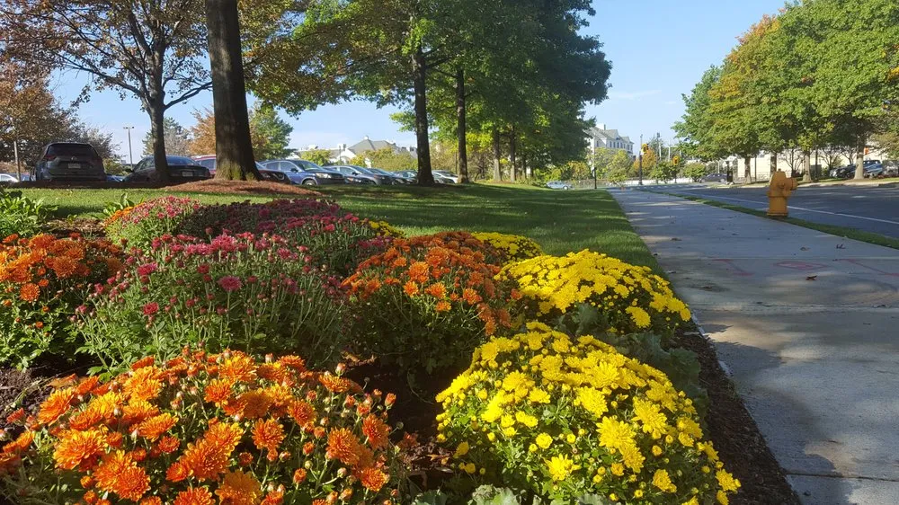 Local yard maintenance experts serving Wilmington, MA - Garrick-Santo Landscape Co.