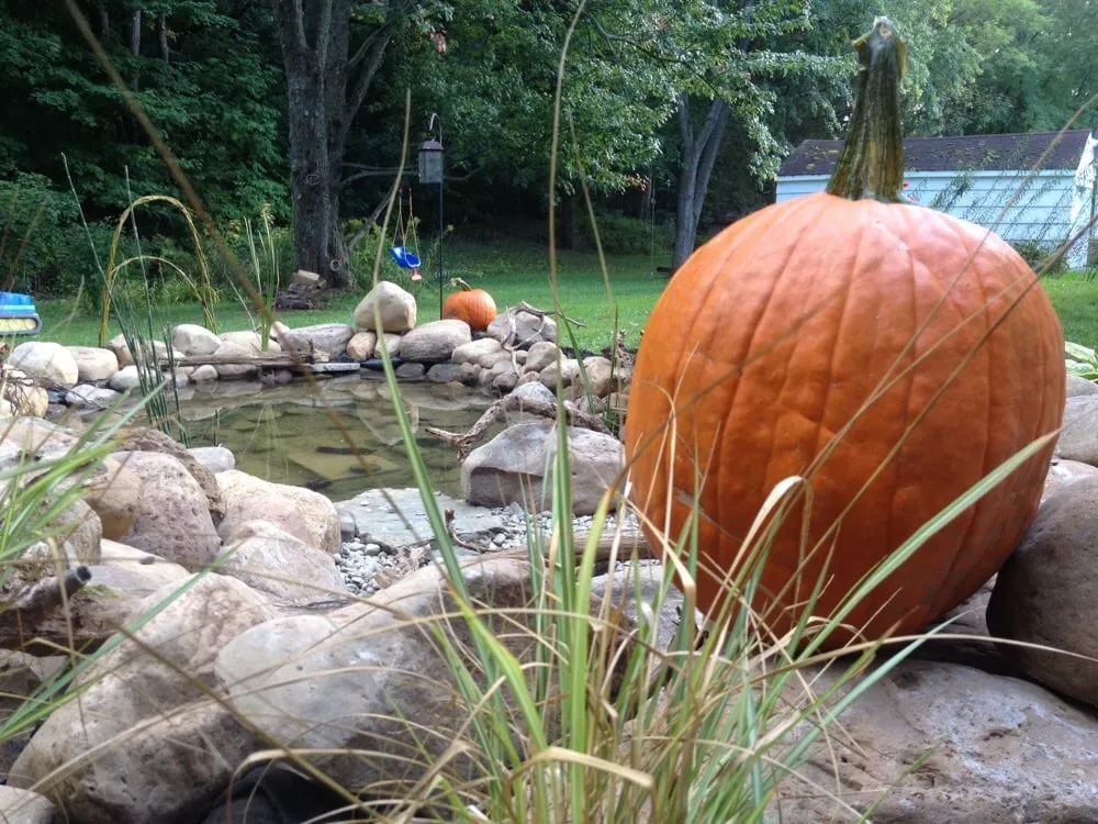 Affordable yard cleanup service for beautiful yards across Baldwinsville, NY - Garrison Companies