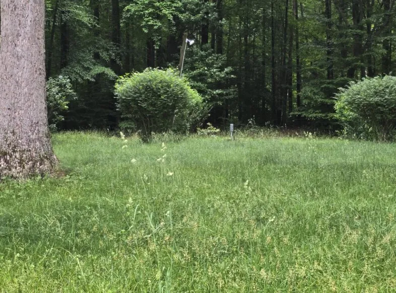 Professional landscape design for year-round maintenance across Manassas, VA - Garrison Outdoors