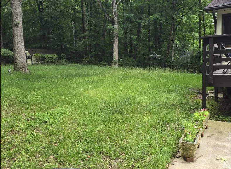 Trusted yard maintenance for outdoor upgrades across Manassas, VA - Garrison Outdoors