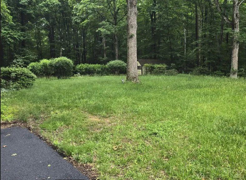 Trusted lawn care service for homes in Manassas, VA by Garrison Outdoors