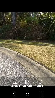 Reliable lawn care service for outdoor upgrades in Lithonia, GA by Garrisons Grasscutters