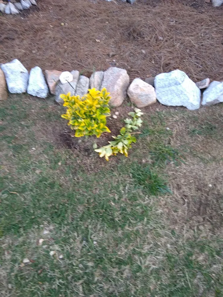 Custom landscape design for homes across Lithonia, GA - Garrisons Grasscutters