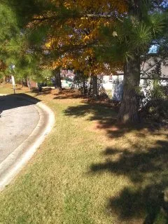Local landscaping services experts serving Lithonia, GA - Garrisons Grasscutters