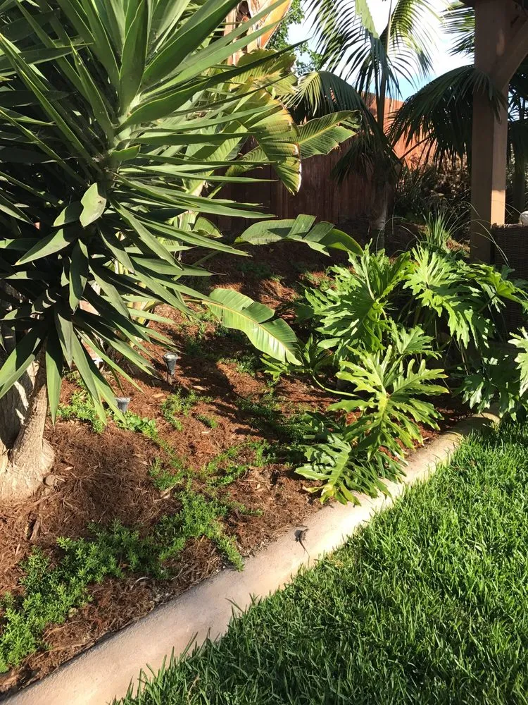 Professional lawn mowing service for residential properties across San Diego, CA - Garrity Tree & Landscape