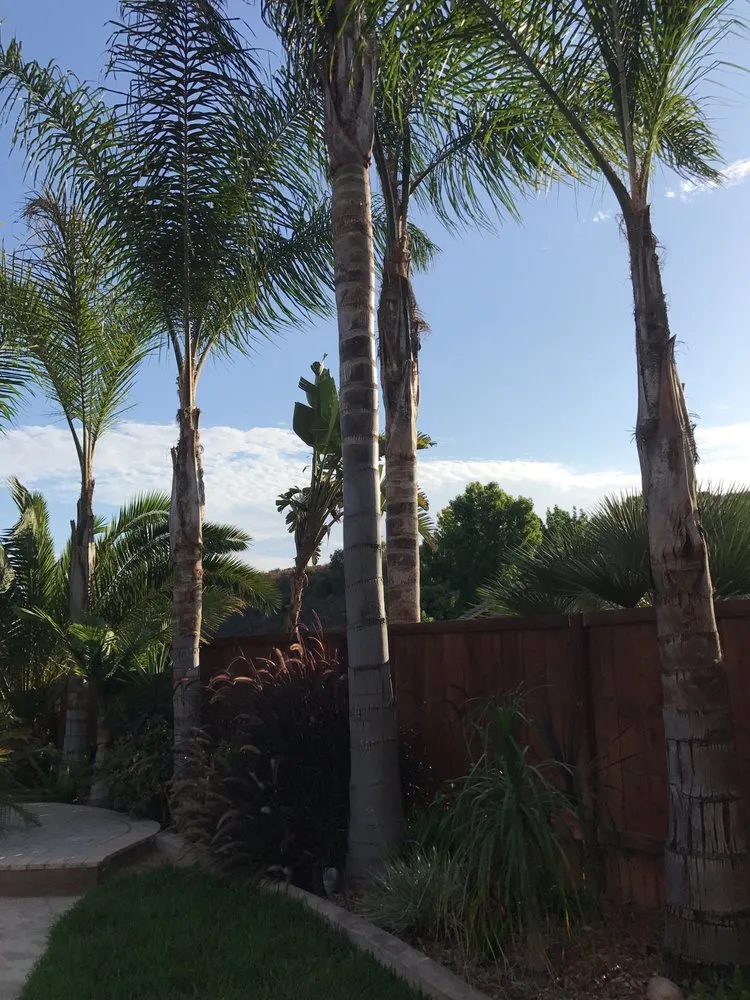 Expert landscaping services experts serving San Diego, CA - Garrity Tree & Landscape