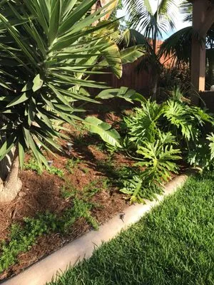 Garrity Tree & Landscape Logo