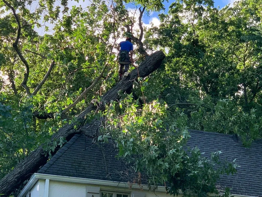 Professional residential landscaping near you in Summit, NJ by Garro Tree Service and Landscaping