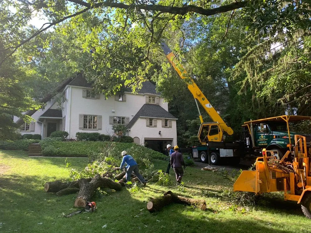 Trusted lawn care service for residential properties in Summit, NJ by Garro Tree Service and Landscaping