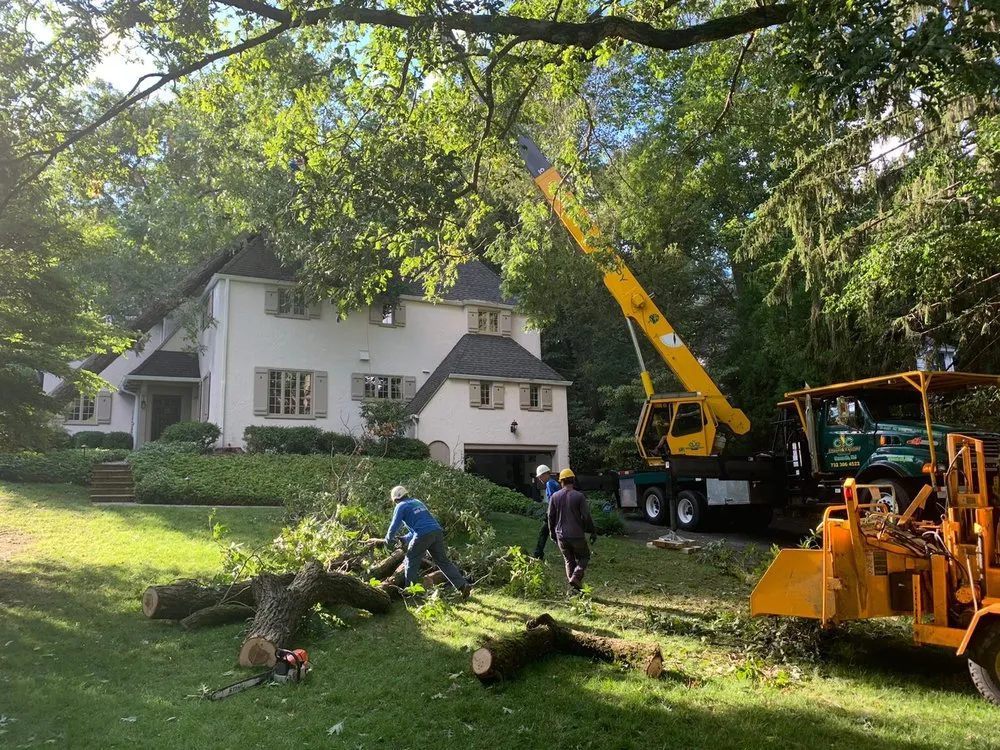 Affordable outdoor landscaping for outdoor upgrades in Summit, NJ by Garro Tree Service and Landscaping