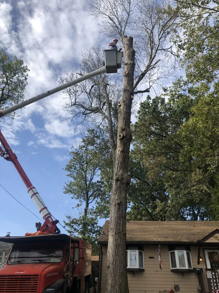 Trusted outdoor landscaping in Summit, NJ by Garro Tree Service and Landscaping