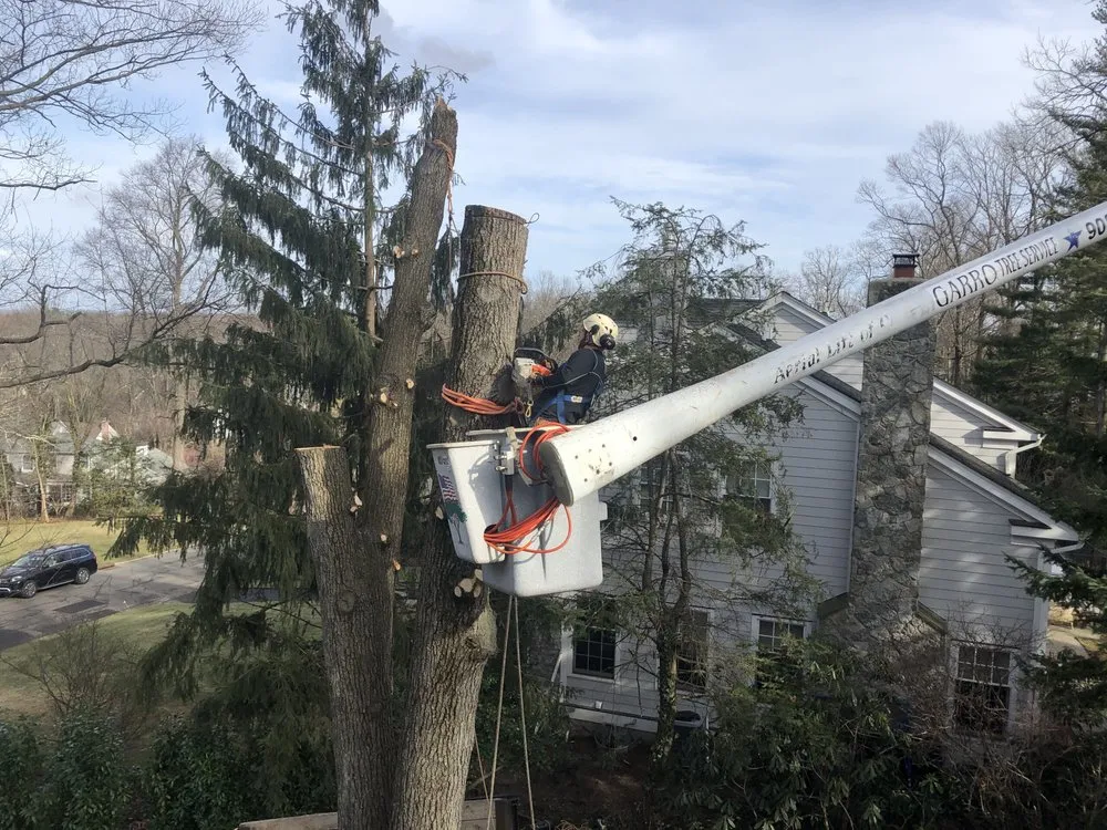 Trusted landscaping services in Summit, NJ - Garro Tree Service and Landscaping