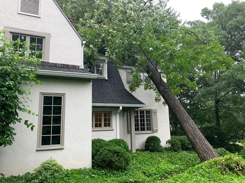 Top-rated lawn care service for residential properties in Summit, NJ by Garro Tree Service and Landscaping