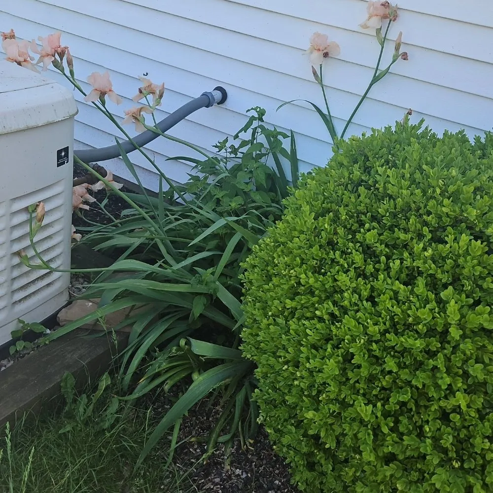 Top-rated residential landscaping experts serving Wallingford, CT - Garrys Landscaping