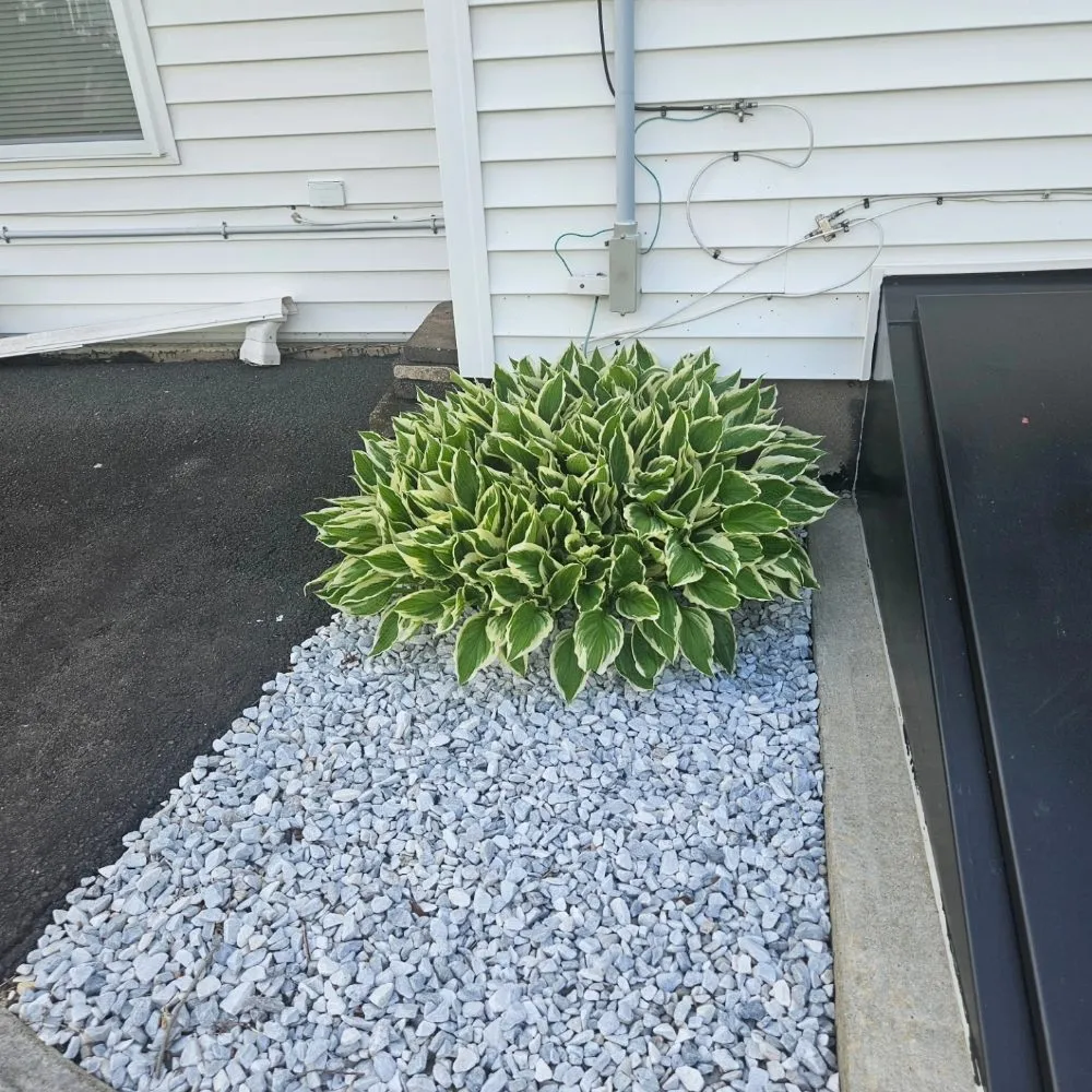 Reliable lawn care service in Wallingford, CT by Garrys Landscaping