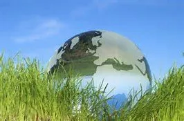 Affordable yard cleanup service in Cantonment, FL by Garvey Irrigation