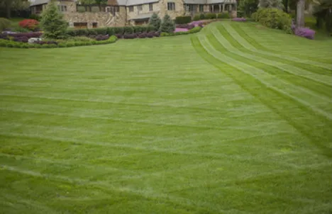 Professional landscape design for beautiful yards across Cantonment, FL - Garvey Irrigation