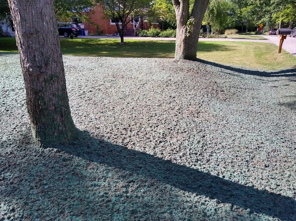 Local yard cleanup service in Waterford, MI - Garvey's Landscape & Hydro Seed