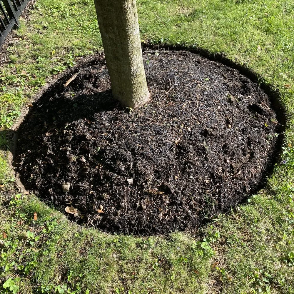 Affordable lawn care service with custom design in Downingtown, PA by Garvi Lawn Care