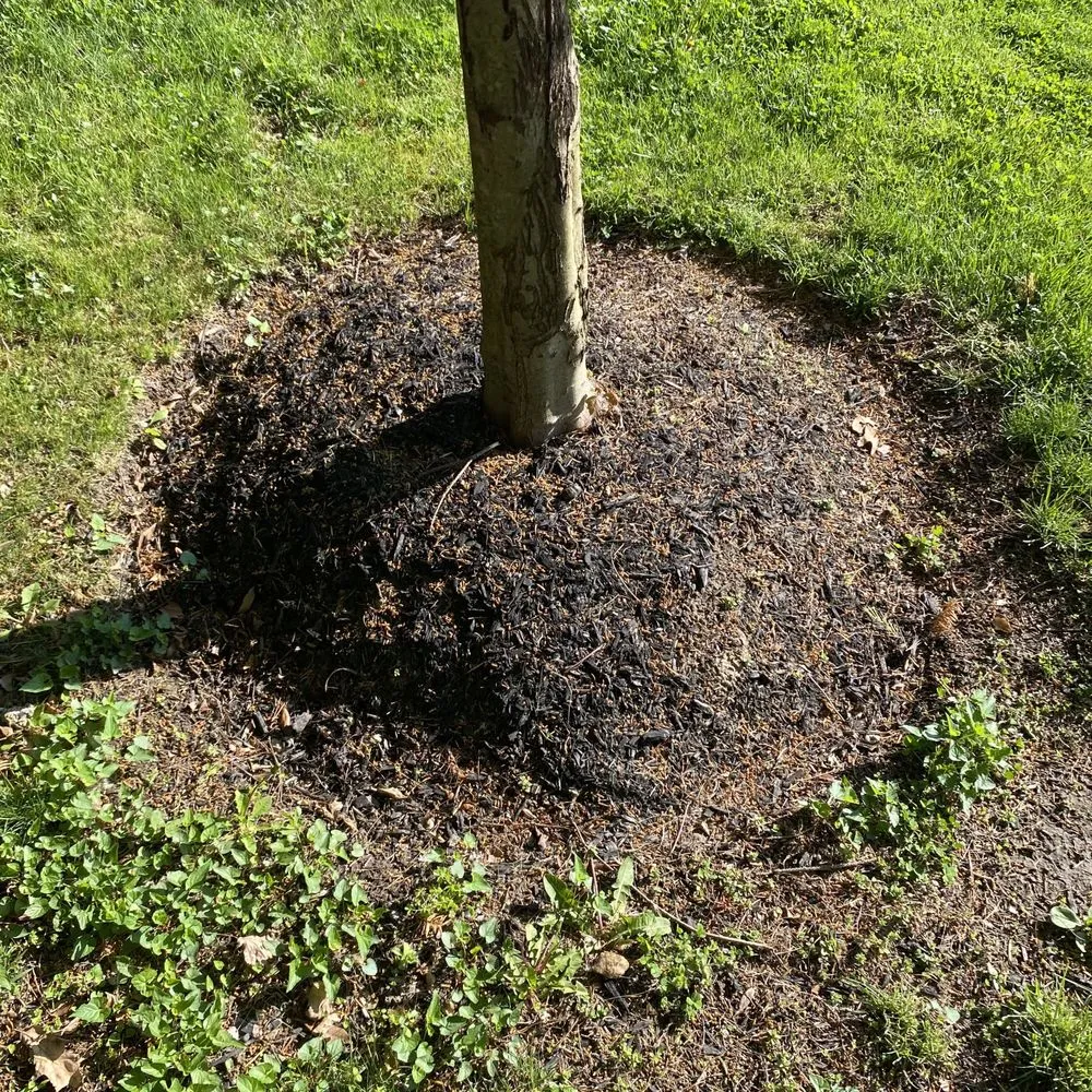 Custom lawn care service experts serving Downingtown, PA - Garvi Lawn Care