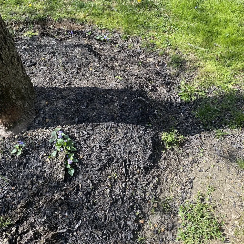 Reliable landscape installation for beautiful yards in Downingtown, PA by Garvi Lawn Care