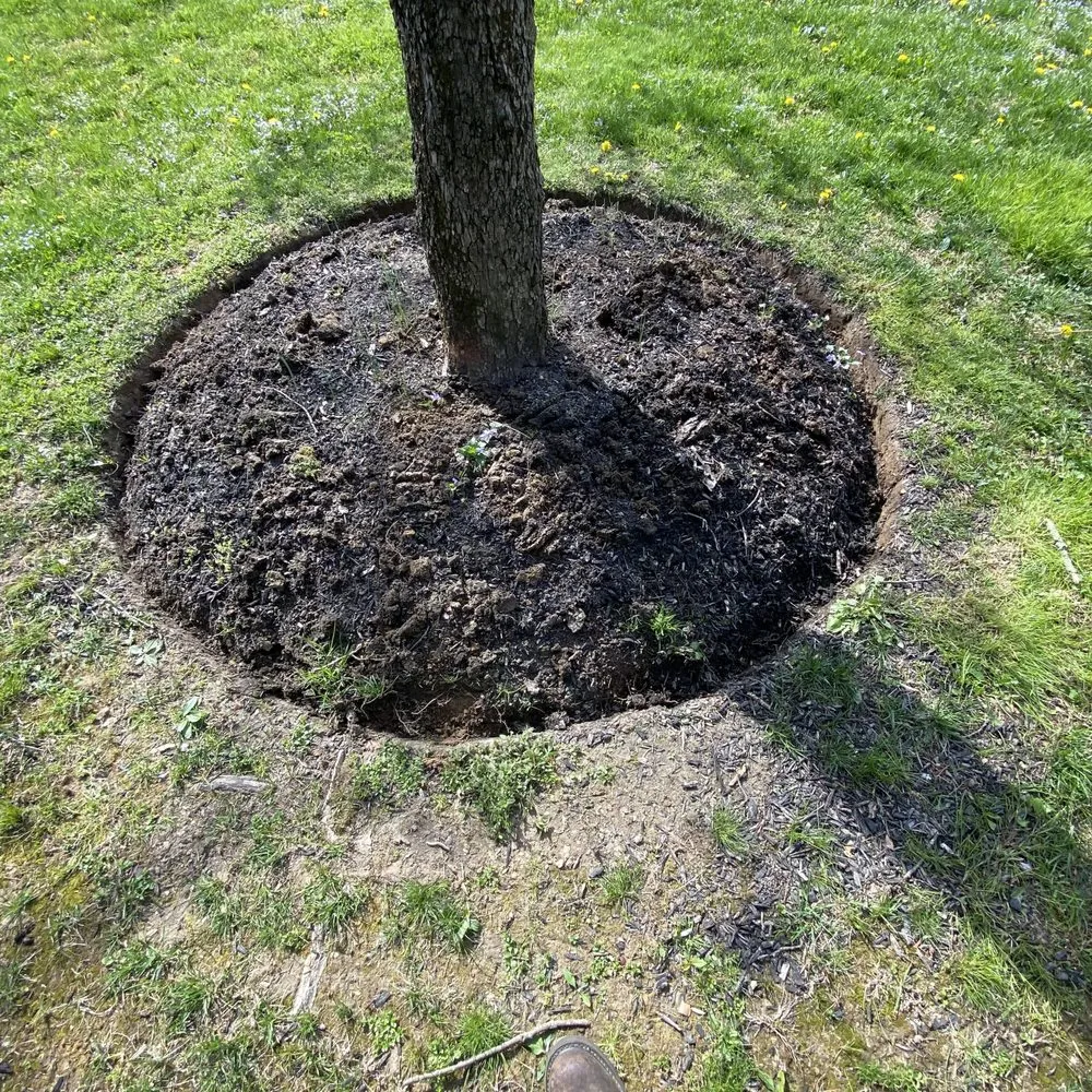 Professional yard cleanup service with custom design in Downingtown, PA by Garvi Lawn Care