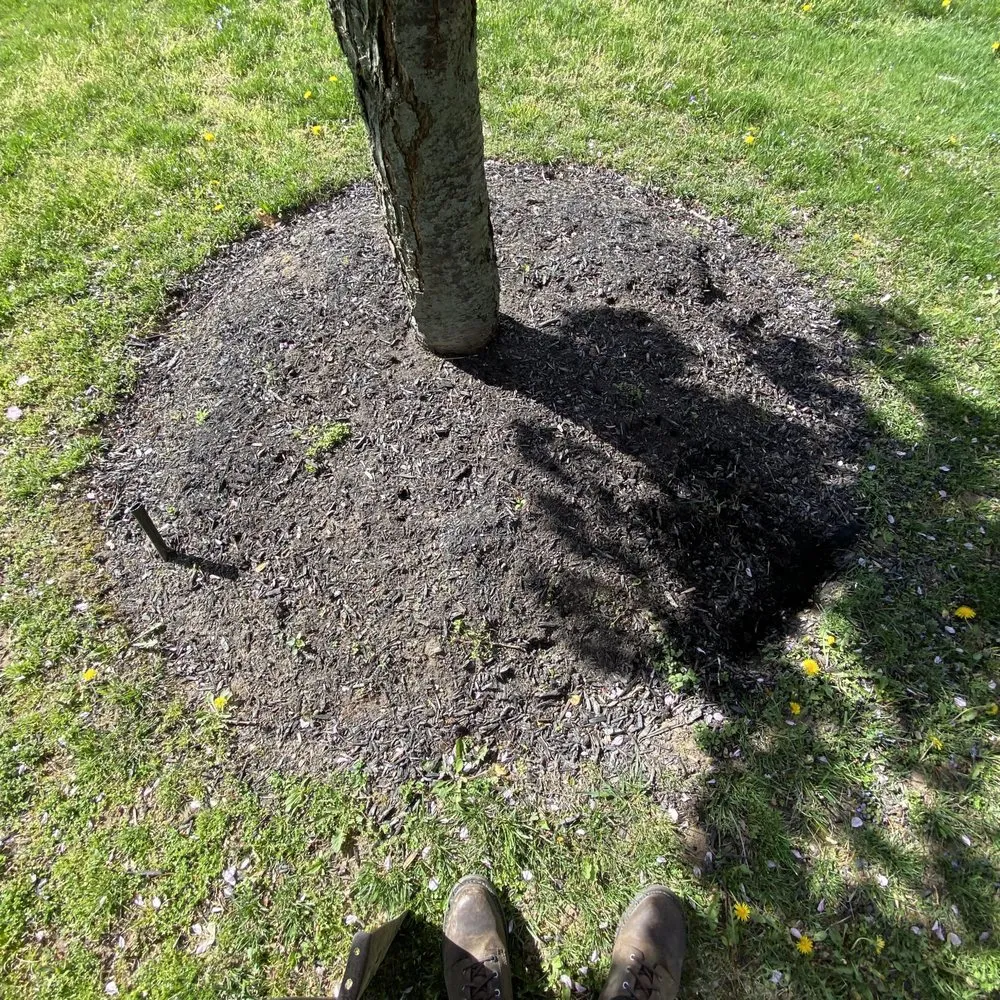 Top-rated landscaping services for homes in Downingtown, PA by Garvi Lawn Care