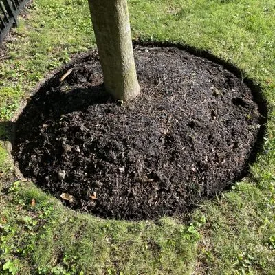 Garvi Lawn Care Logo