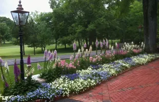 Reliable landscape installation for outdoor upgrades in Trussville, AL by Gary A Webb, Horticulturist