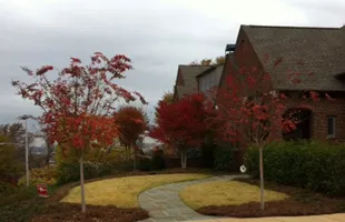 Expert lawn mowing service in Trussville, AL - Gary A Webb, Horticulturist