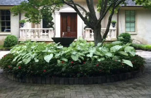 Reliable yard maintenance in Trussville, AL by Gary A Webb, Horticulturist