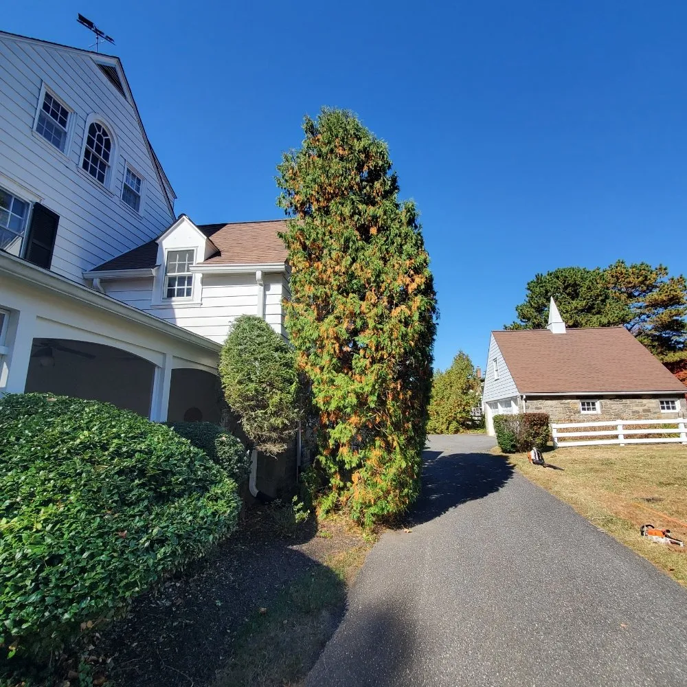 Professional yard maintenance near you in Secane, PA by Gary Hadden Landscaping