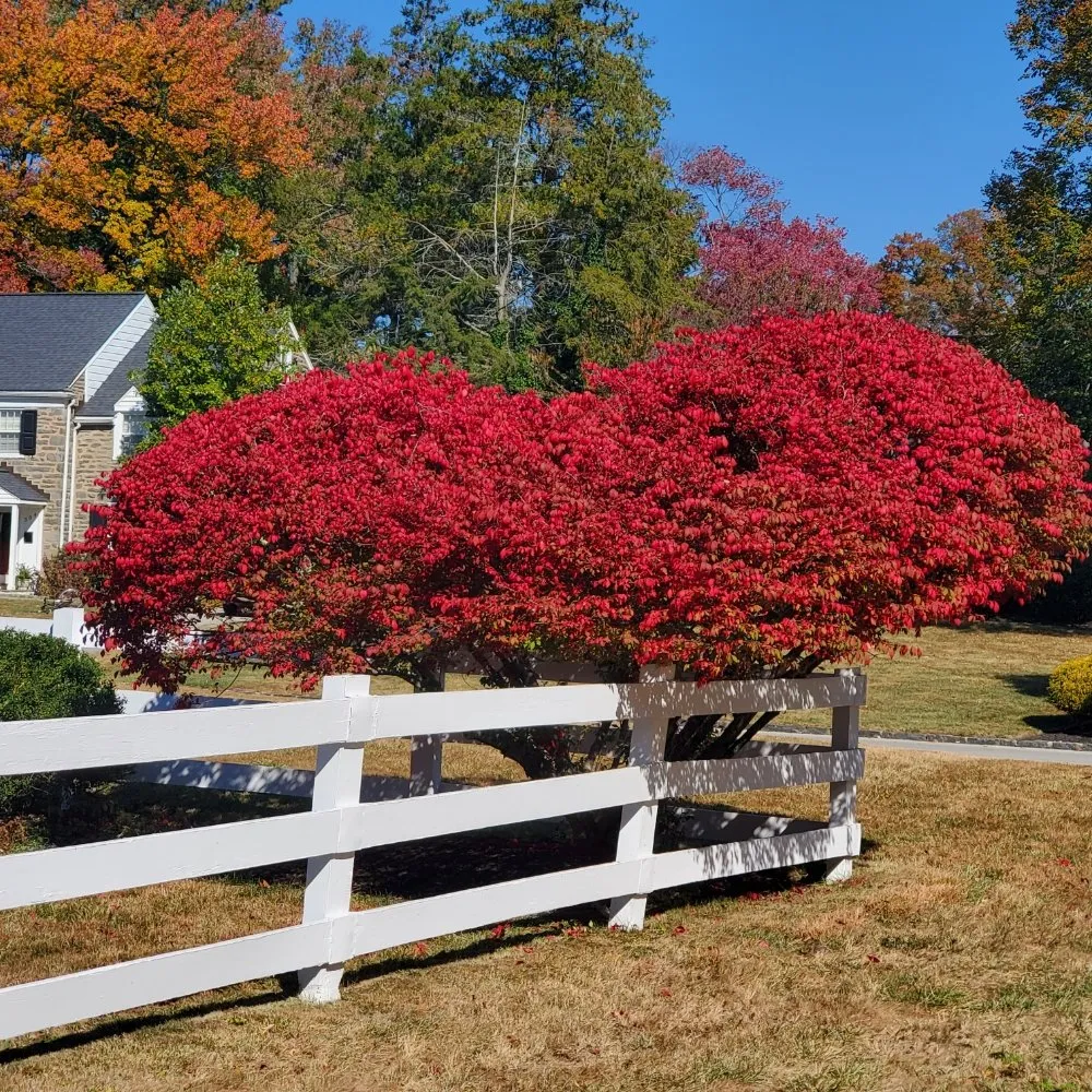 Expert outdoor landscaping in Secane, PA - Gary Hadden Landscaping