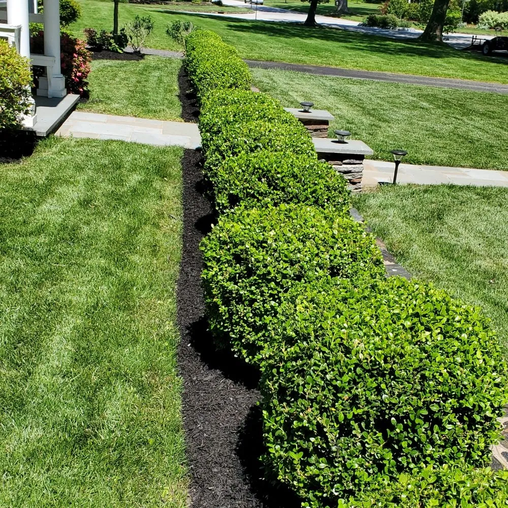 Trusted residential landscaping in Secane, PA - Gary Hadden Landscaping