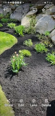 Gary Hadden Landscaping