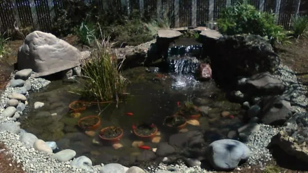 Top-rated landscape design in Jacksonville, OR - Gary Krause Landscaping and Design