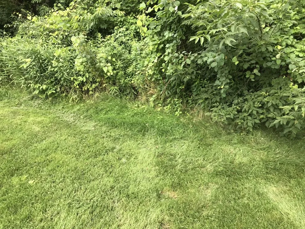 Custom landscaping services for homes across Lee, MA - Gary O'Brien Property Services