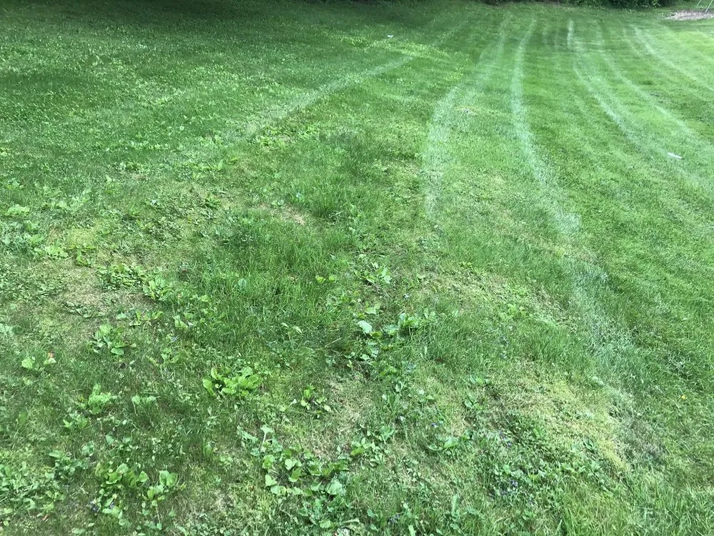 Professional landscaping services in Lee, MA by Gary O'Brien Property Services