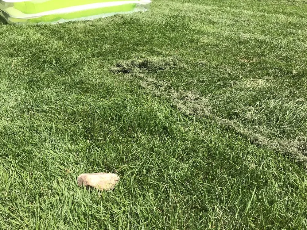 Custom landscape design in Lee, MA - Gary O'Brien Property Services