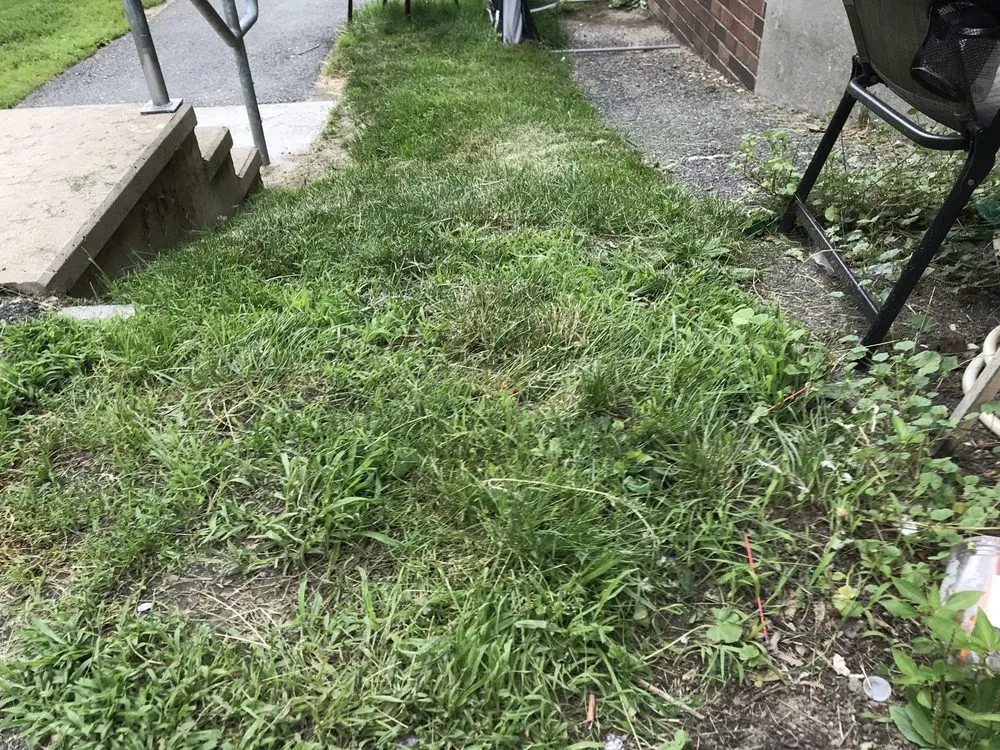 Expert landscape installation near you across Lee, MA - Gary O'Brien Property Services