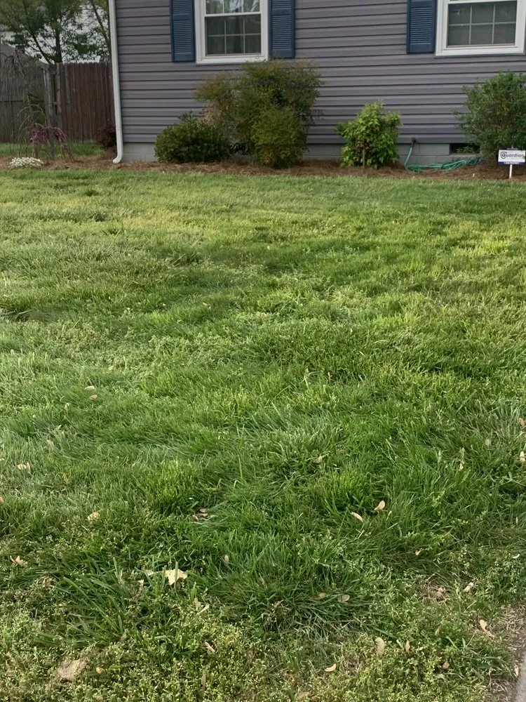 Expert yard maintenance in Hampton, VA - Gary Powers